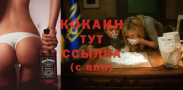 мяу мяу мука Аркадак