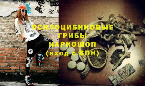 ECSTASY Арсеньев
